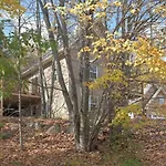 Tranquility Lodge By Instant Suites