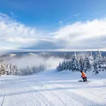 Le Sous-Bois