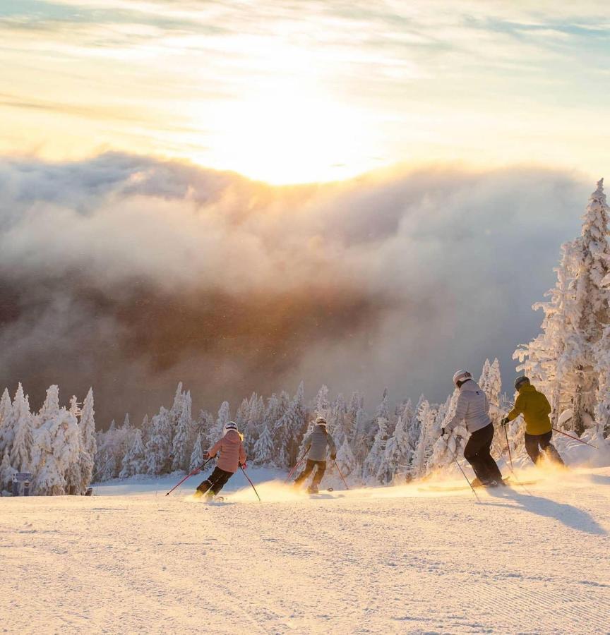 Amazing Lakemountain View 5min To Tremblant475 Holiday home Mont-Tremblant