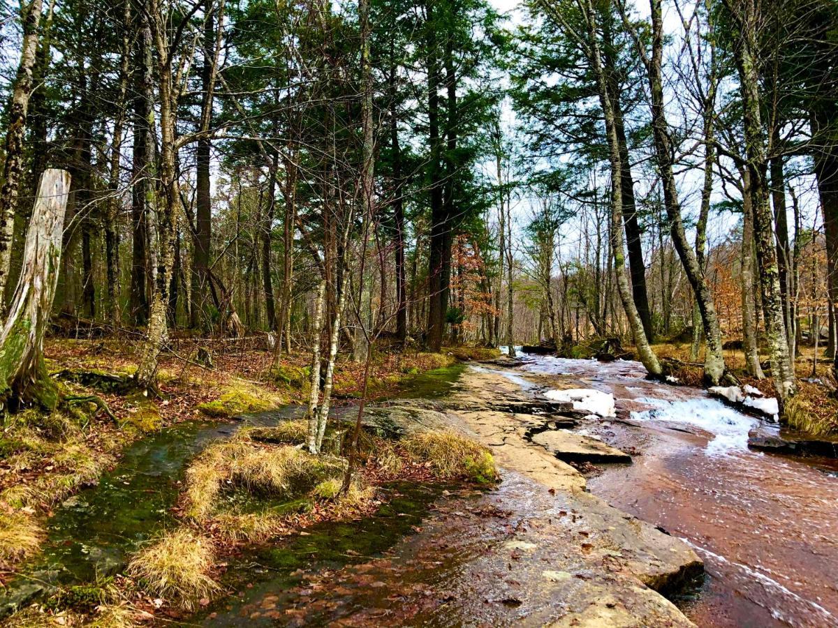 Tremblant Les Eaux By Vacances Tremblant Apartment