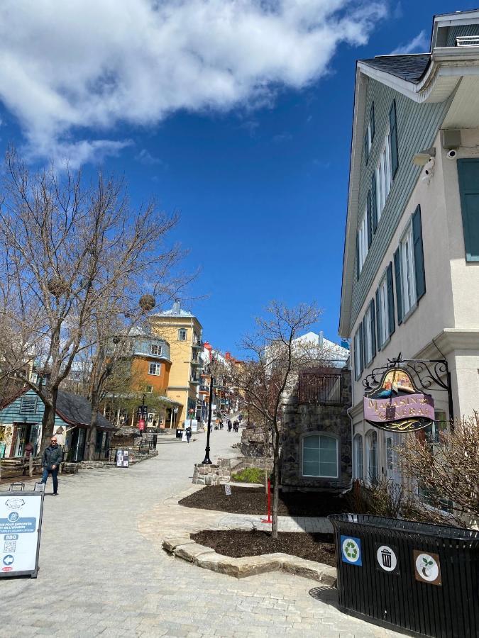 Mountain View Fully Renovated 6-8 People Apartment *