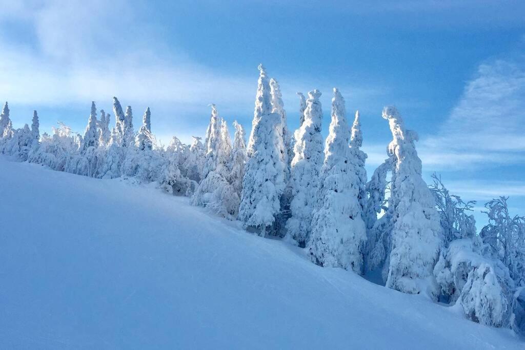 The Mountainside By Escapades Tremblant Apartment *