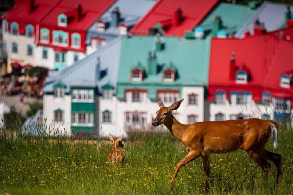 Unique Tremblant View -fancy Fully Equipped * Mont-Tremblant