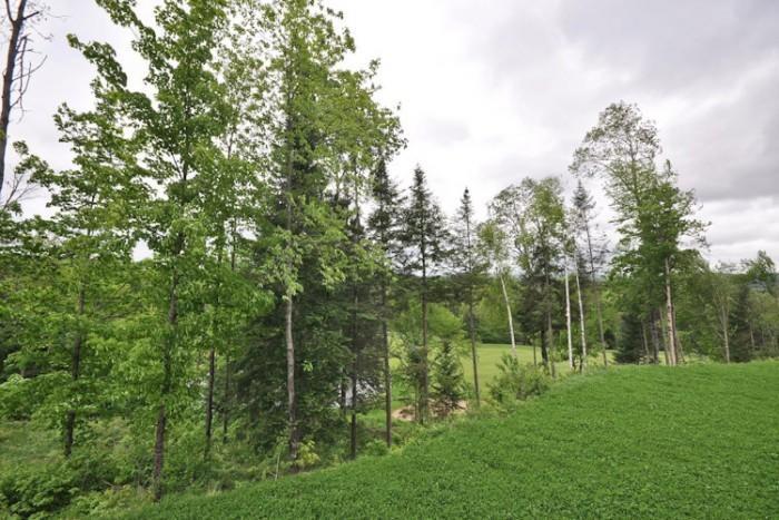 Rabaska By Tremblant Sunstar Apartment *