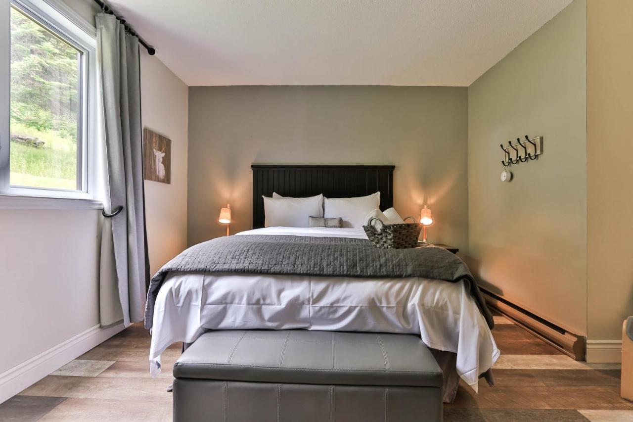 Amazing Lakemountain View 5min To Tremblant 491 Holiday home