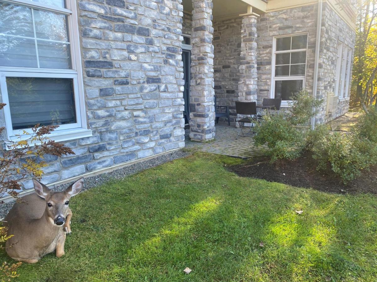 Chalet Tremblant-les-eaux *