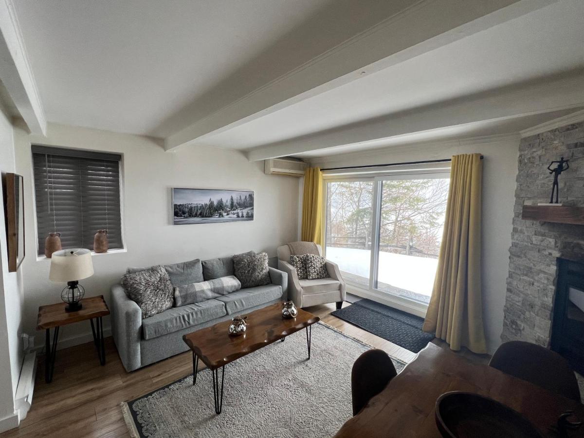 Apartment Front View On Lake Tremblant &mountain Mont-Tremblant
