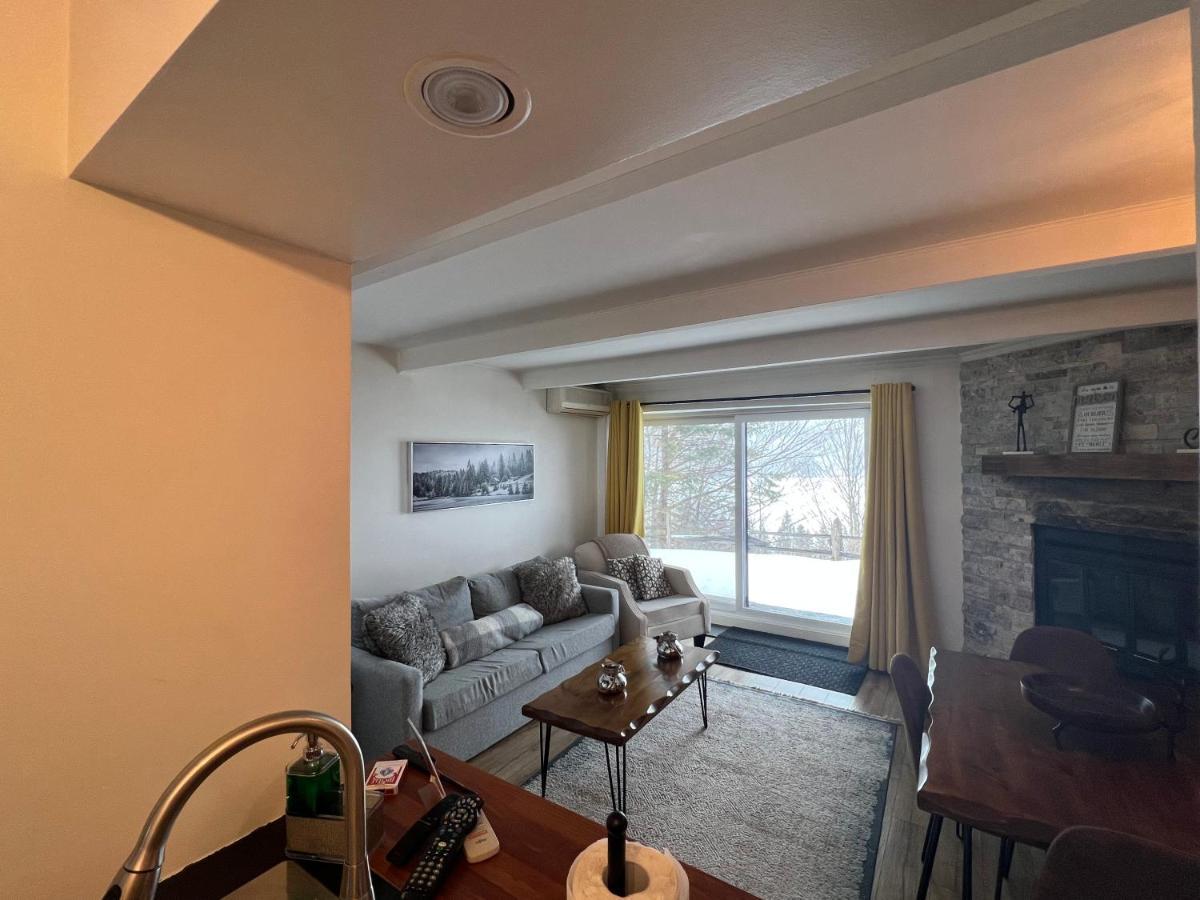 Apartment Front View On Lake Tremblant &mountain Mont-Tremblant