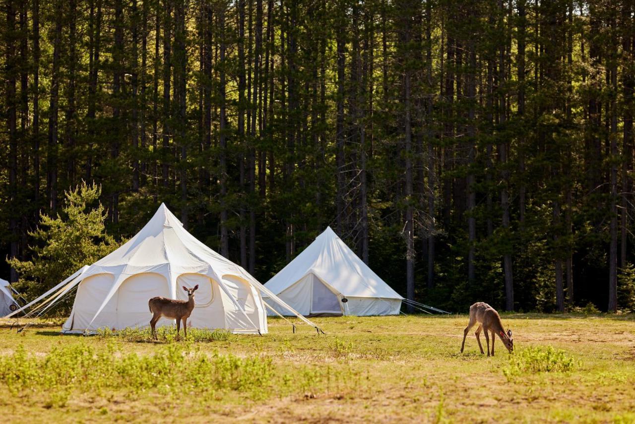 Uniq - Domaine Saint-bernard Mont-Tremblant