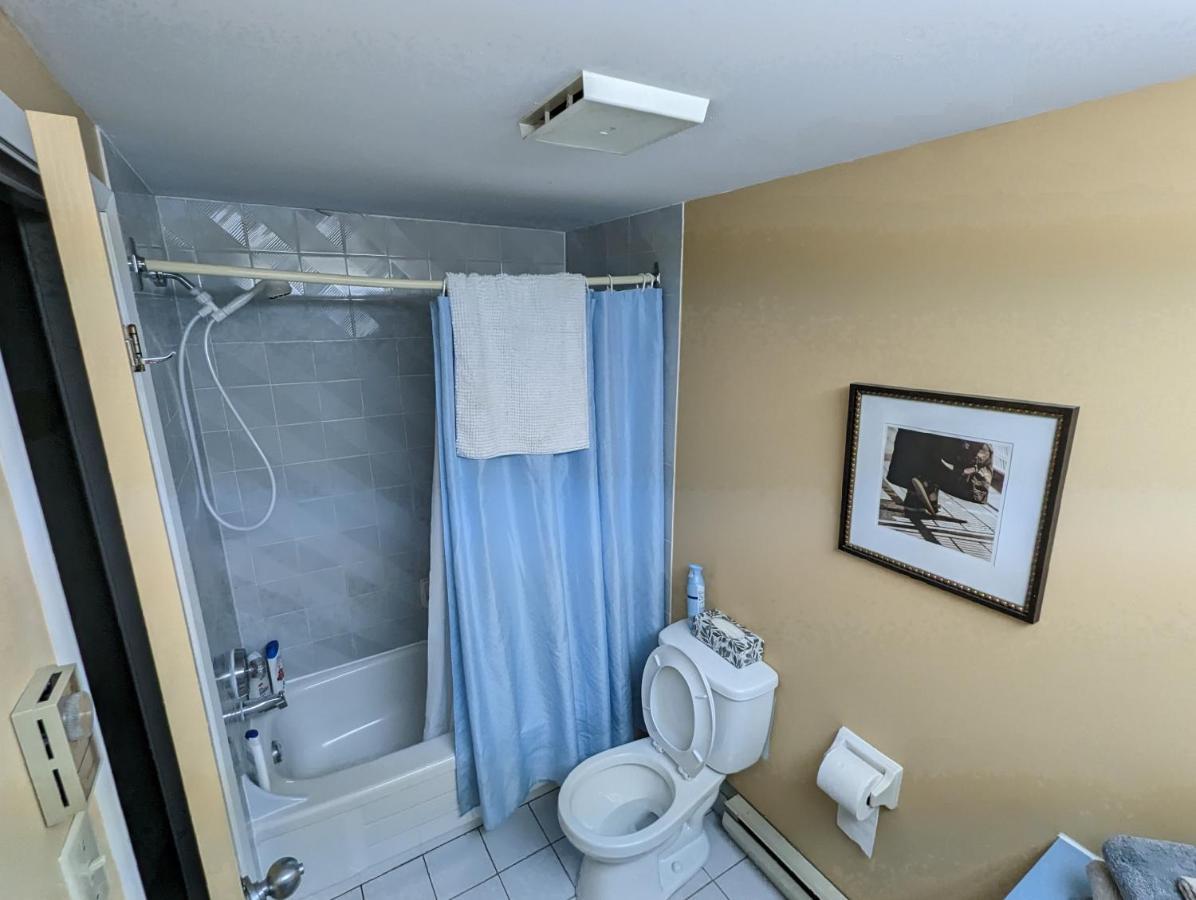 Big Sunshine Apartment *