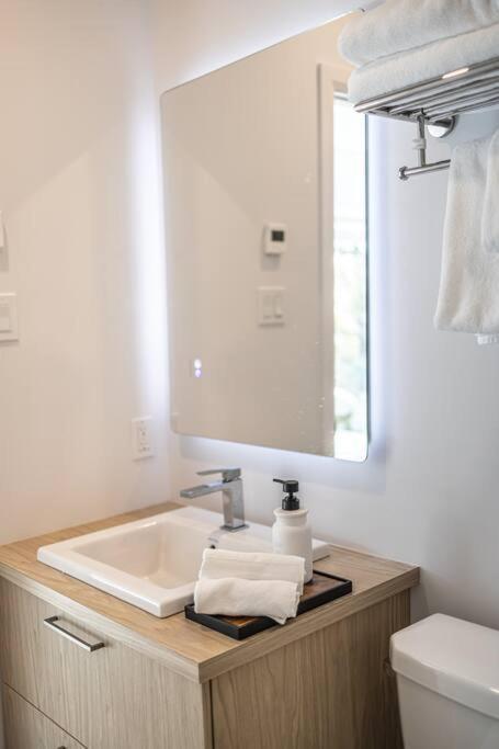 Chalet New Family For 12 People And Tremblant