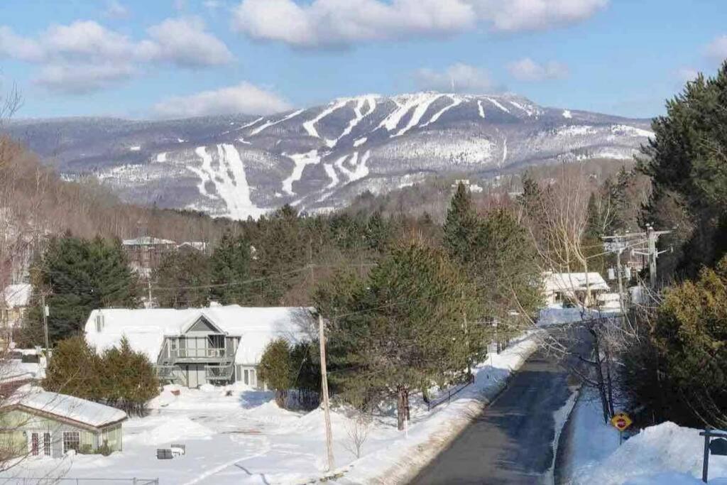 Laoe Tremblant - View Apartment *