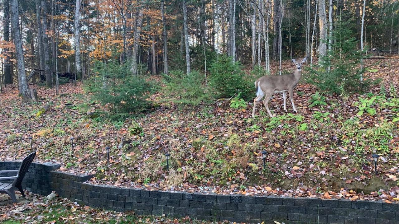 Emond - Petit Train Du Nord, Golf Et Mont-Tremblant