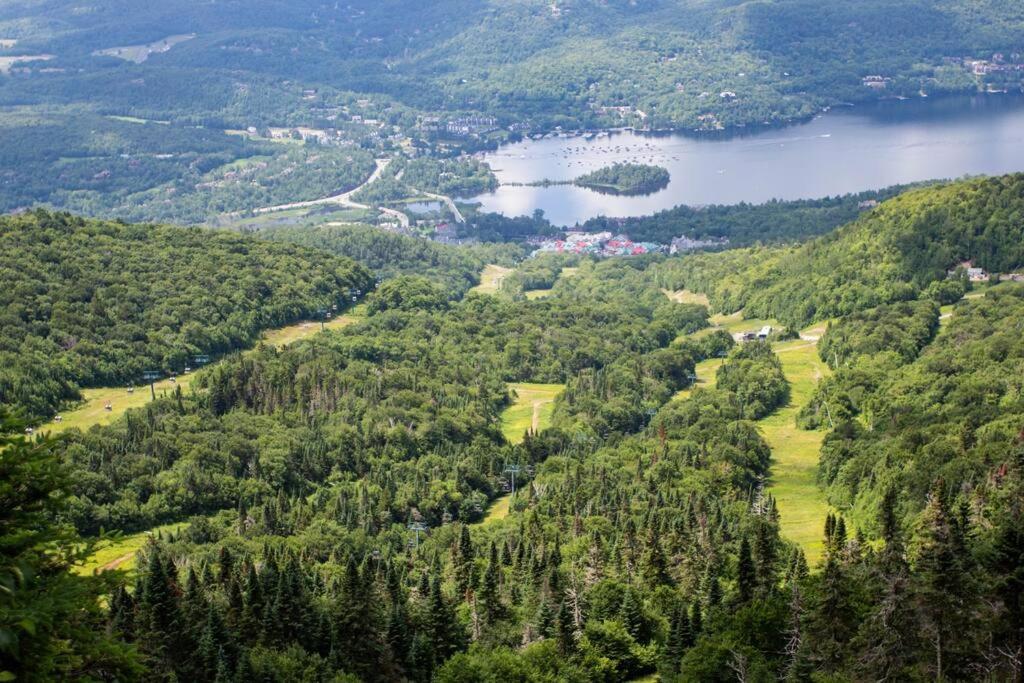 Apartment The Alpine Nest - 3 Beds - 4 Guests - Free Parking - Pool Mont-Tremblant