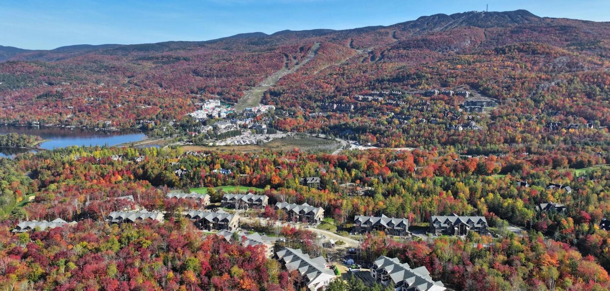 Apartment Tremblant Luxe 3br Pet-friendly, Entertainment!
