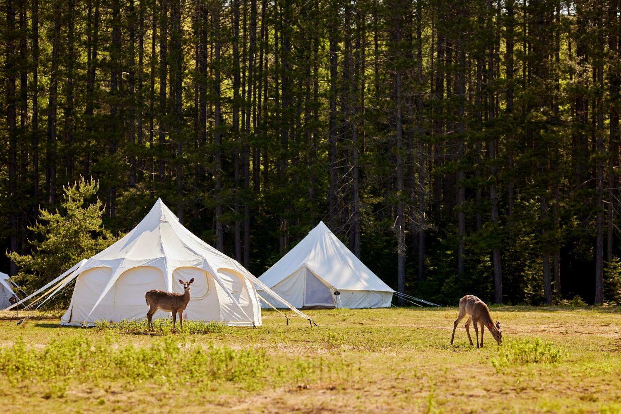 Uniq - Domaine Saint-bernard Luxury tent Mont-Tremblant