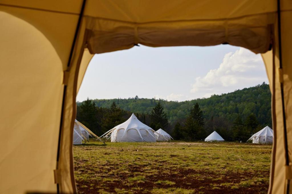 Luxury tent Uniq - Domaine Saint-bernard