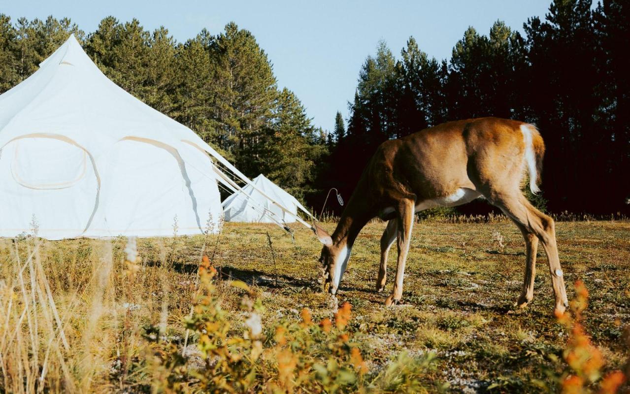 Luxury tent Uniq - Domaine Saint-bernard Mont-Tremblant
