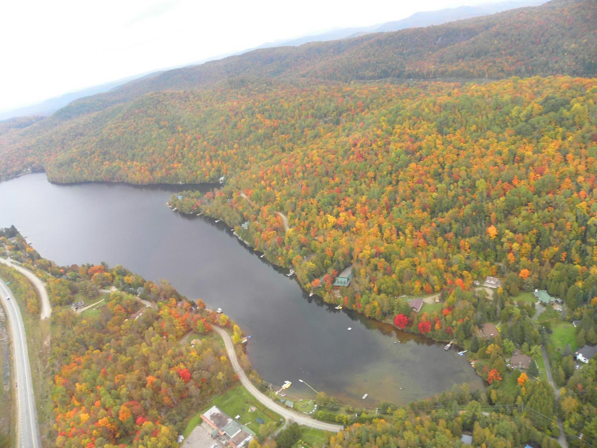 Le Boise Du Hotel Mont-Tremblant