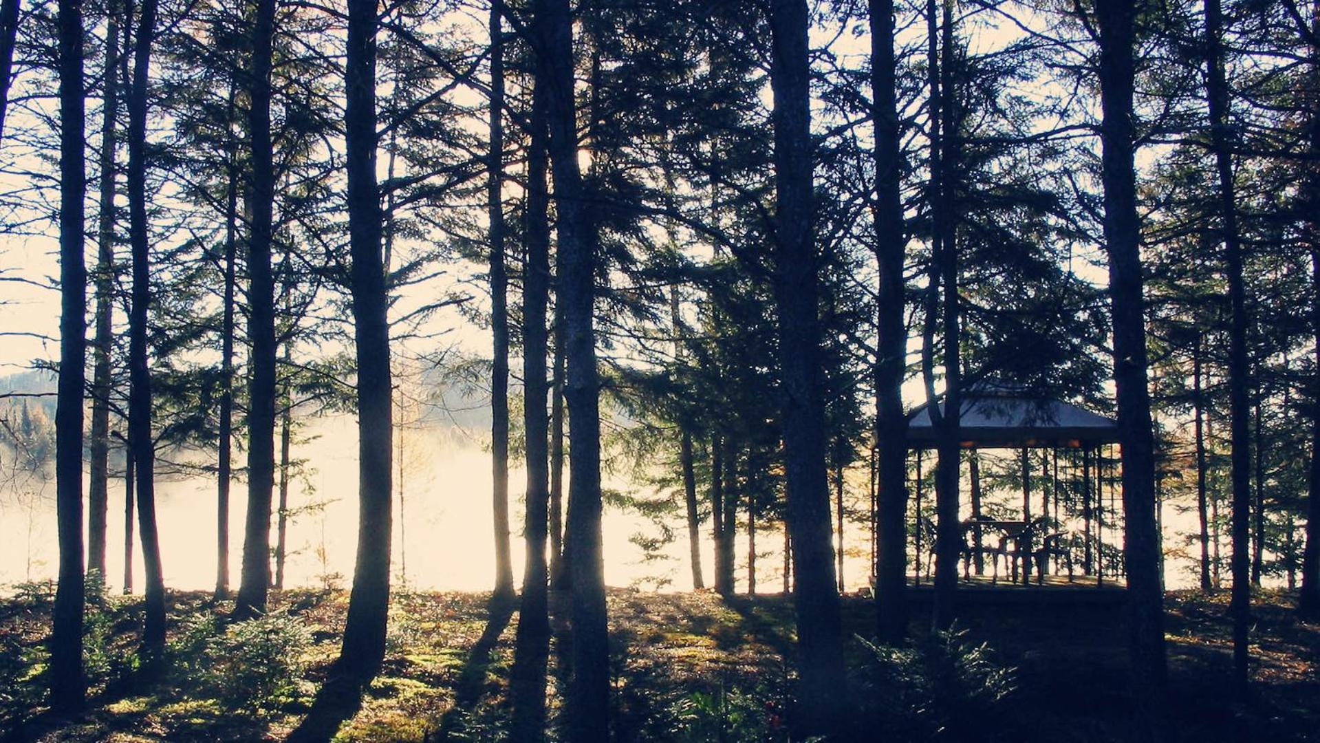 Domaine Summum Chalet