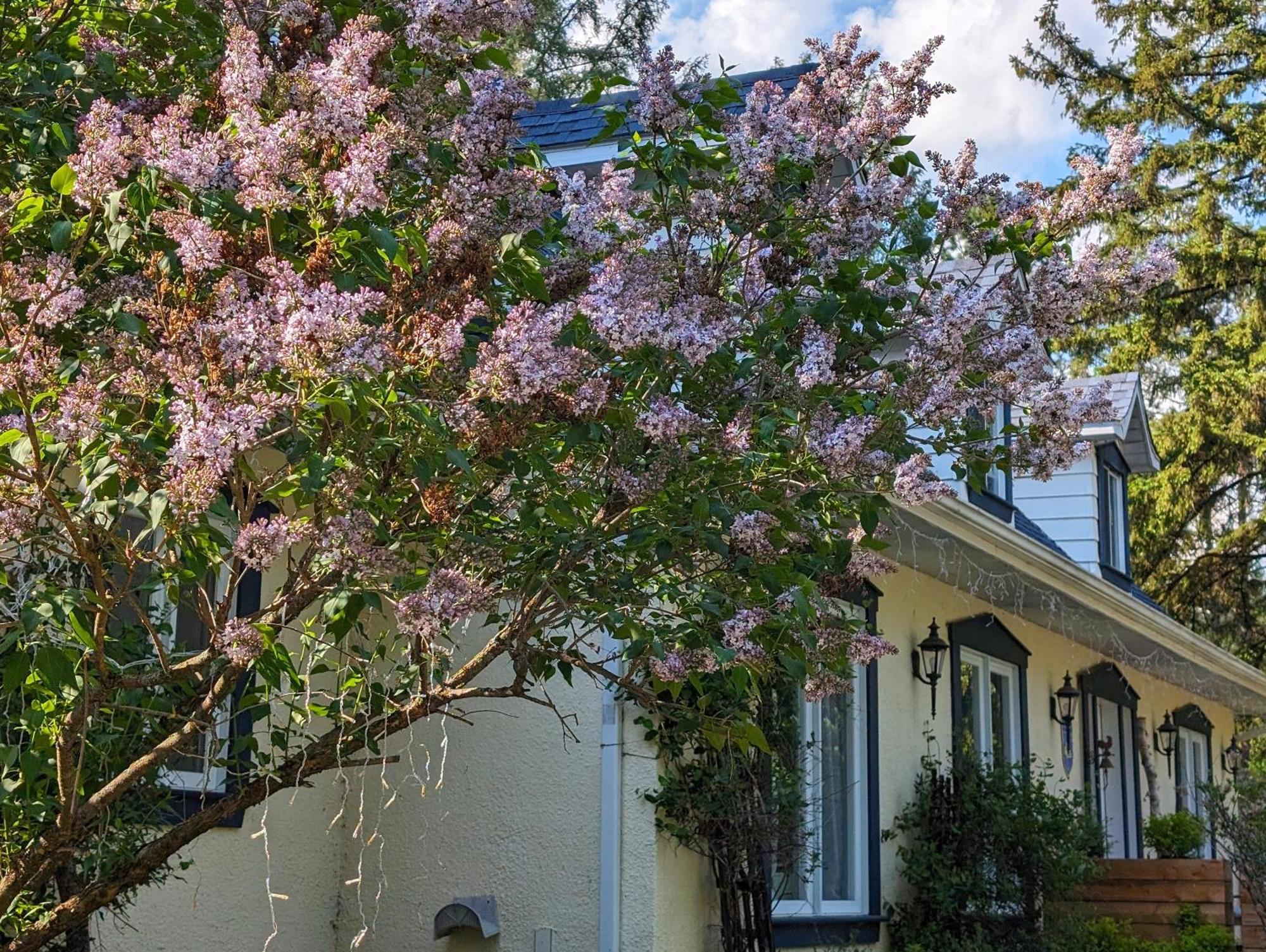 Bed & Breakfast La Tremblante 4*