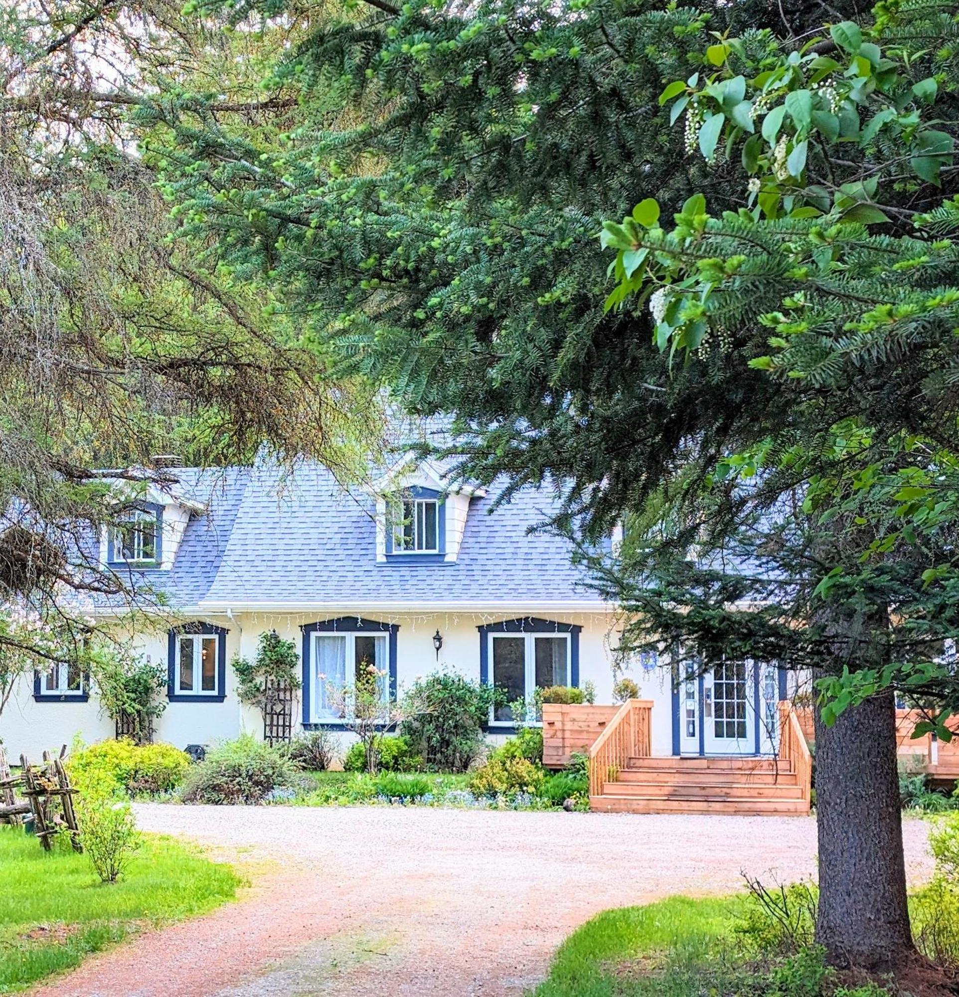La Tremblante Bed & Breakfast Mont-Tremblant