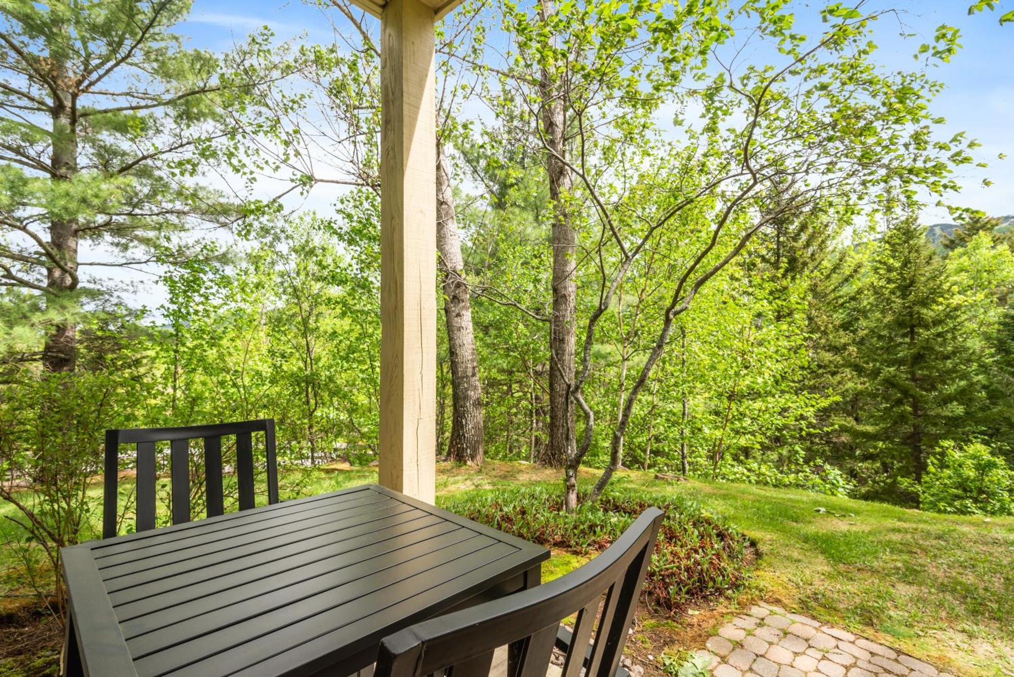 Apartment Tremblant Prestige - Les Eaux 235-1