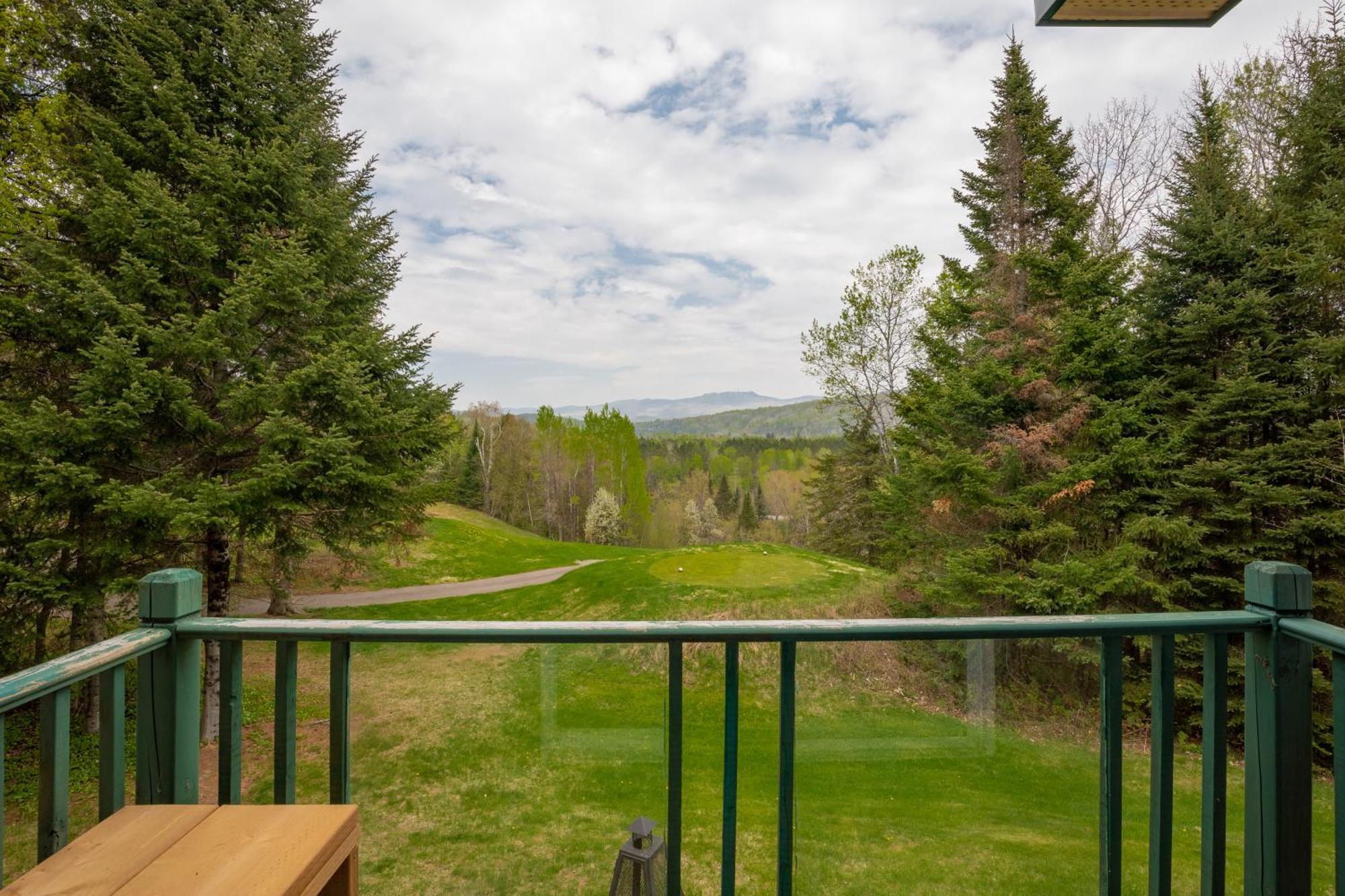 2-level - Tremblant Mountain View - Fireplace Apartment