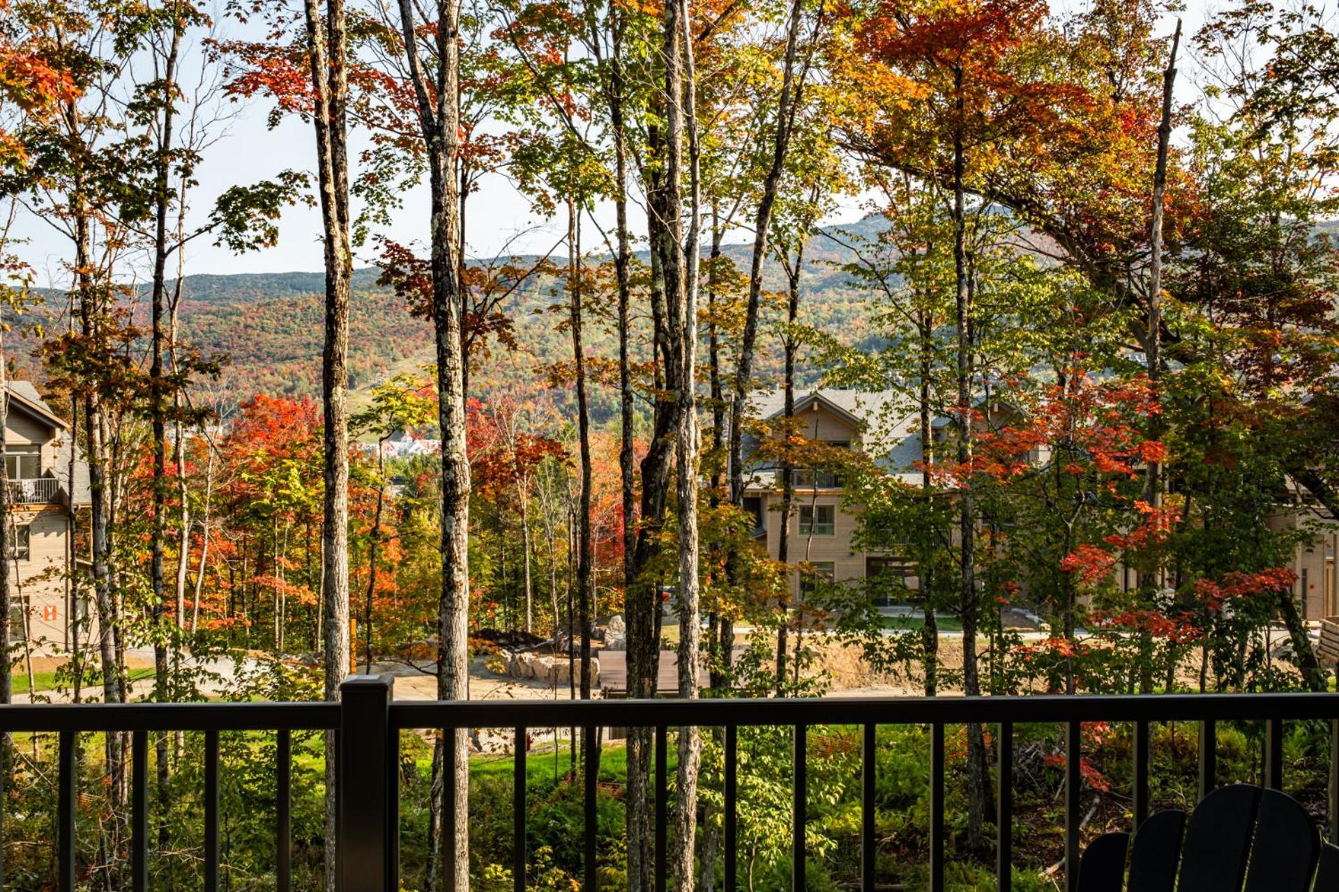 Apartment Tremblant Prestige - Verbier 8-101 Mont-Tremblant