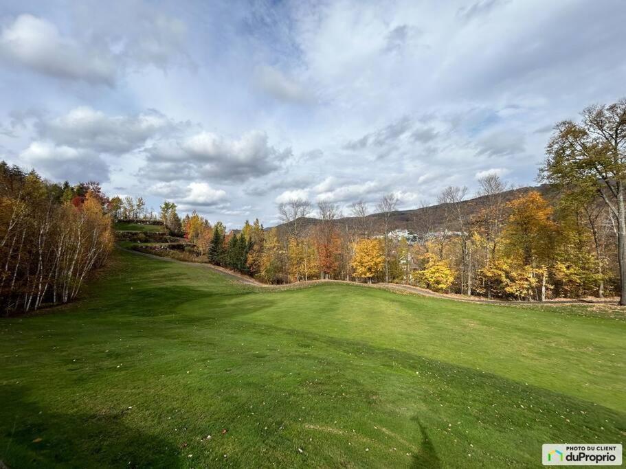 Luxury Tremblant Verbier Arnica