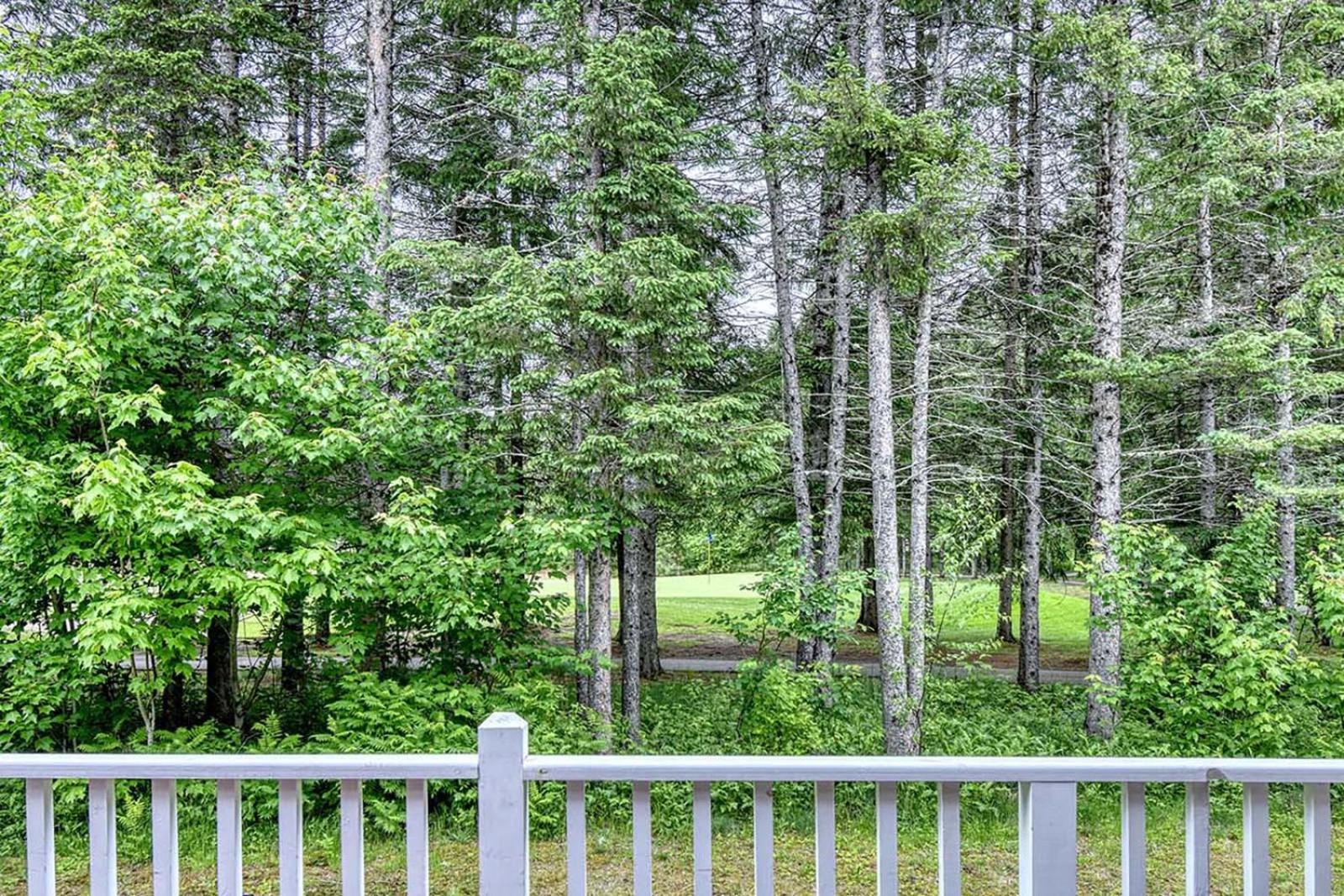 146 Borealis - Close To The Mountains In Mont-Tremblant