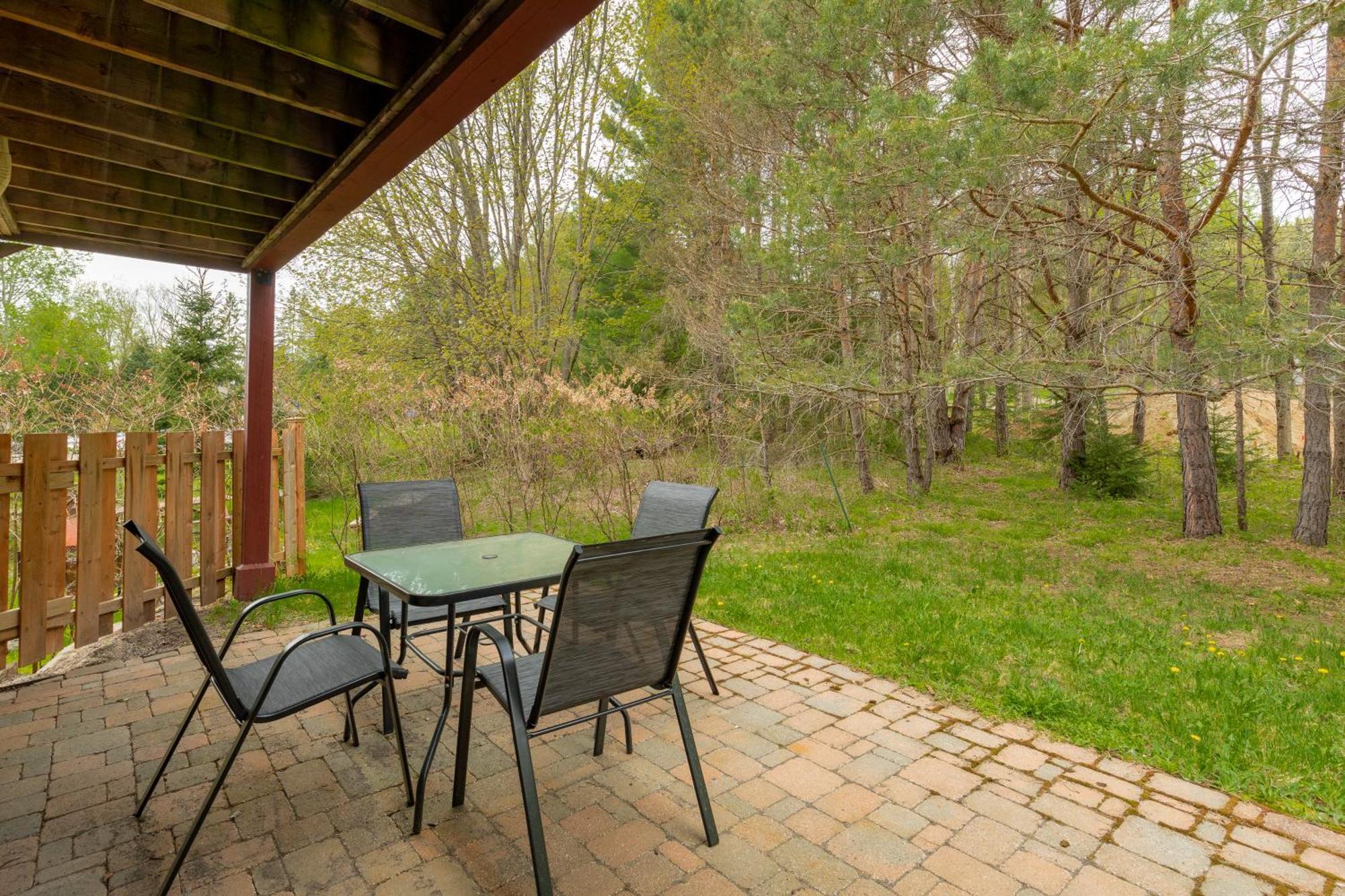 Apartment Boho Downtown - Bike In&out - Shuttle - Park Mont-Tremblant