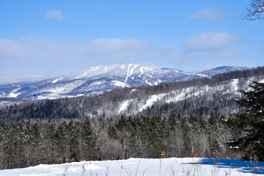 2-level - Tremblant Mountain View - Fireplace *