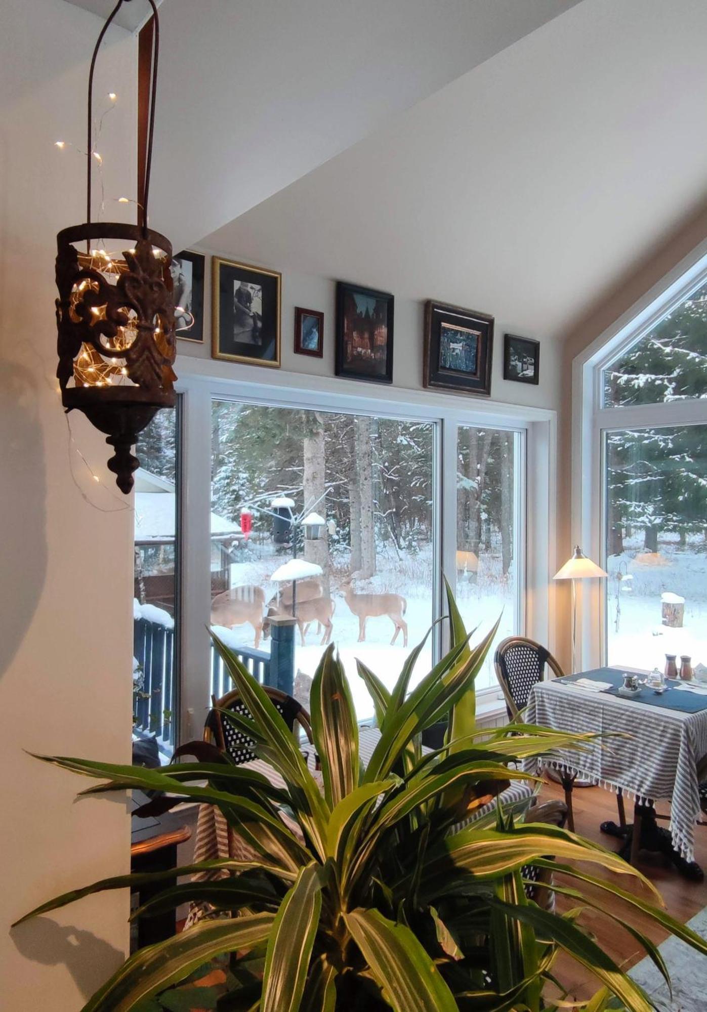 Bed & Breakfast La Tremblante