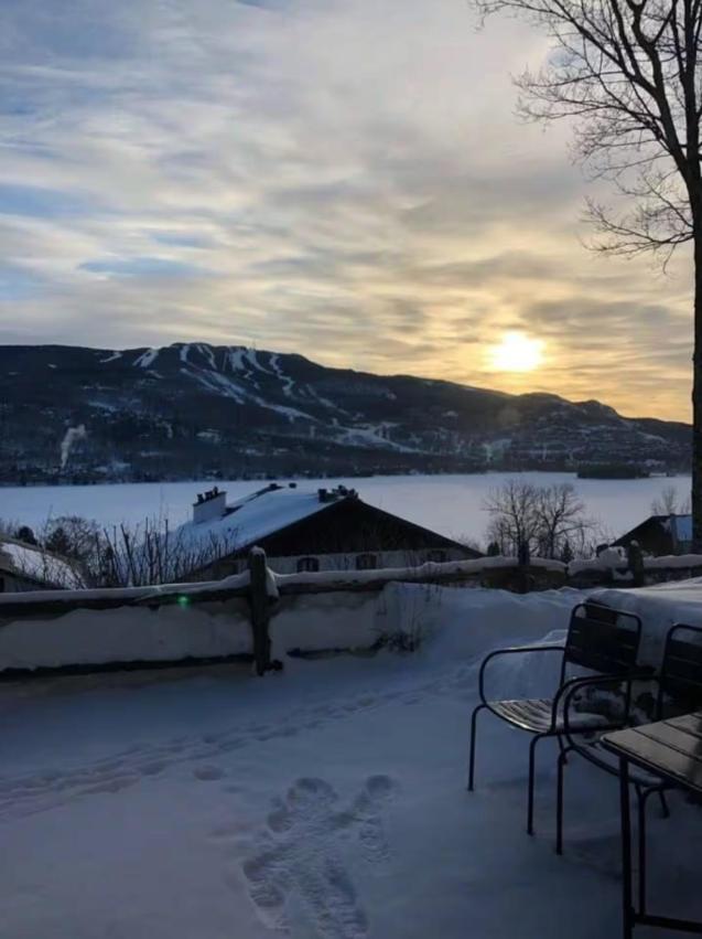 Vibe With Views Of