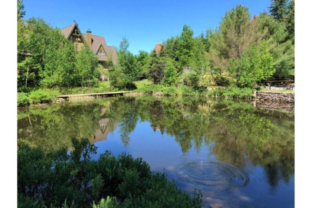 Charming Cozy Getaway - Plateau 228-3 * Mont-Tremblant
