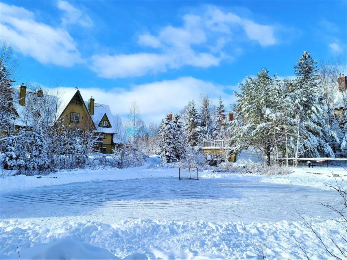 Charming Cozy Getaway - Plateau 228-3 *