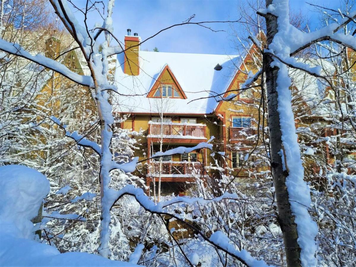 Charming Cozy Getaway - Plateau 228-3
