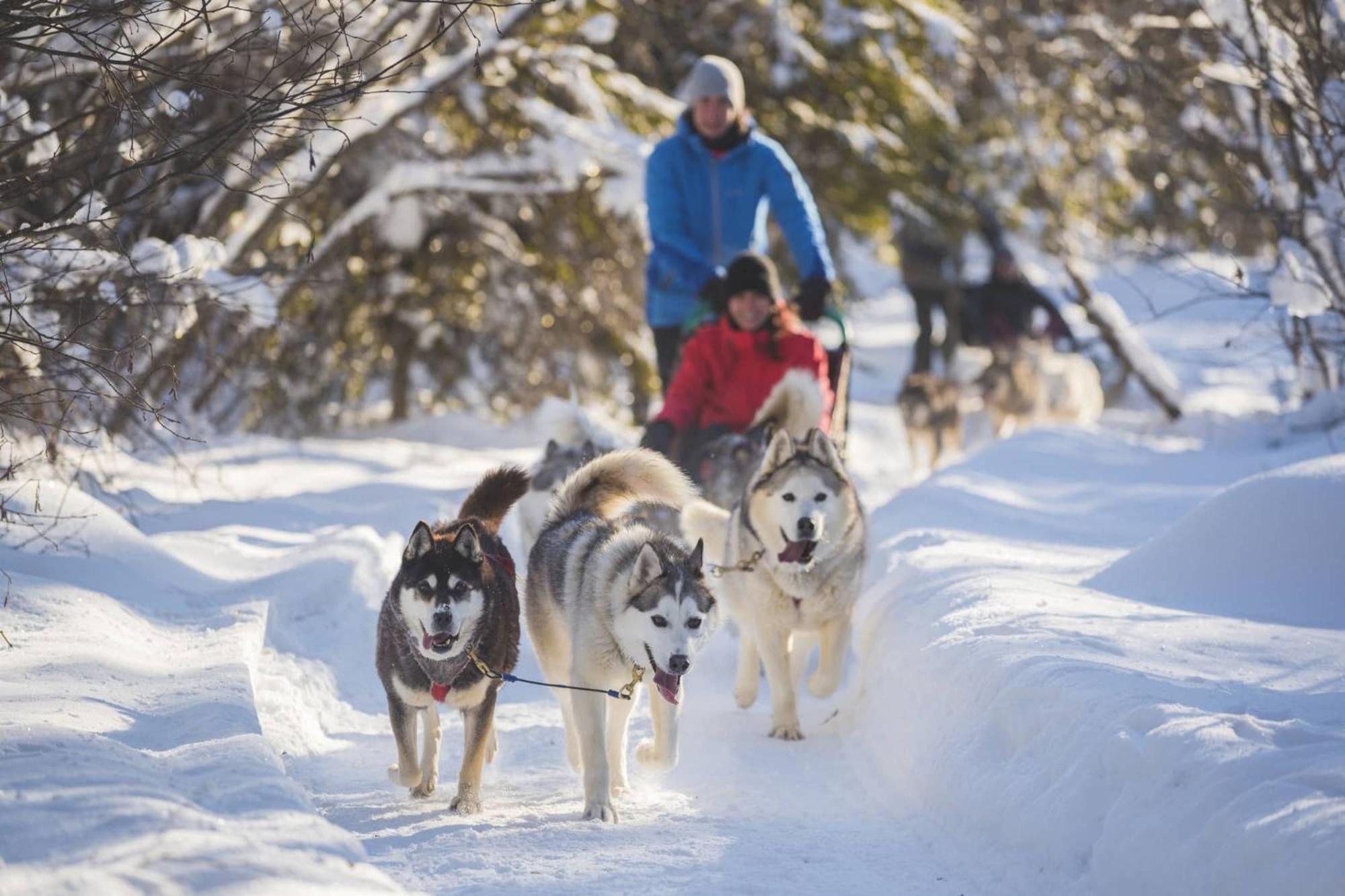 Apartment Ostrya Luxury Condo, Steps From The Slopes! *