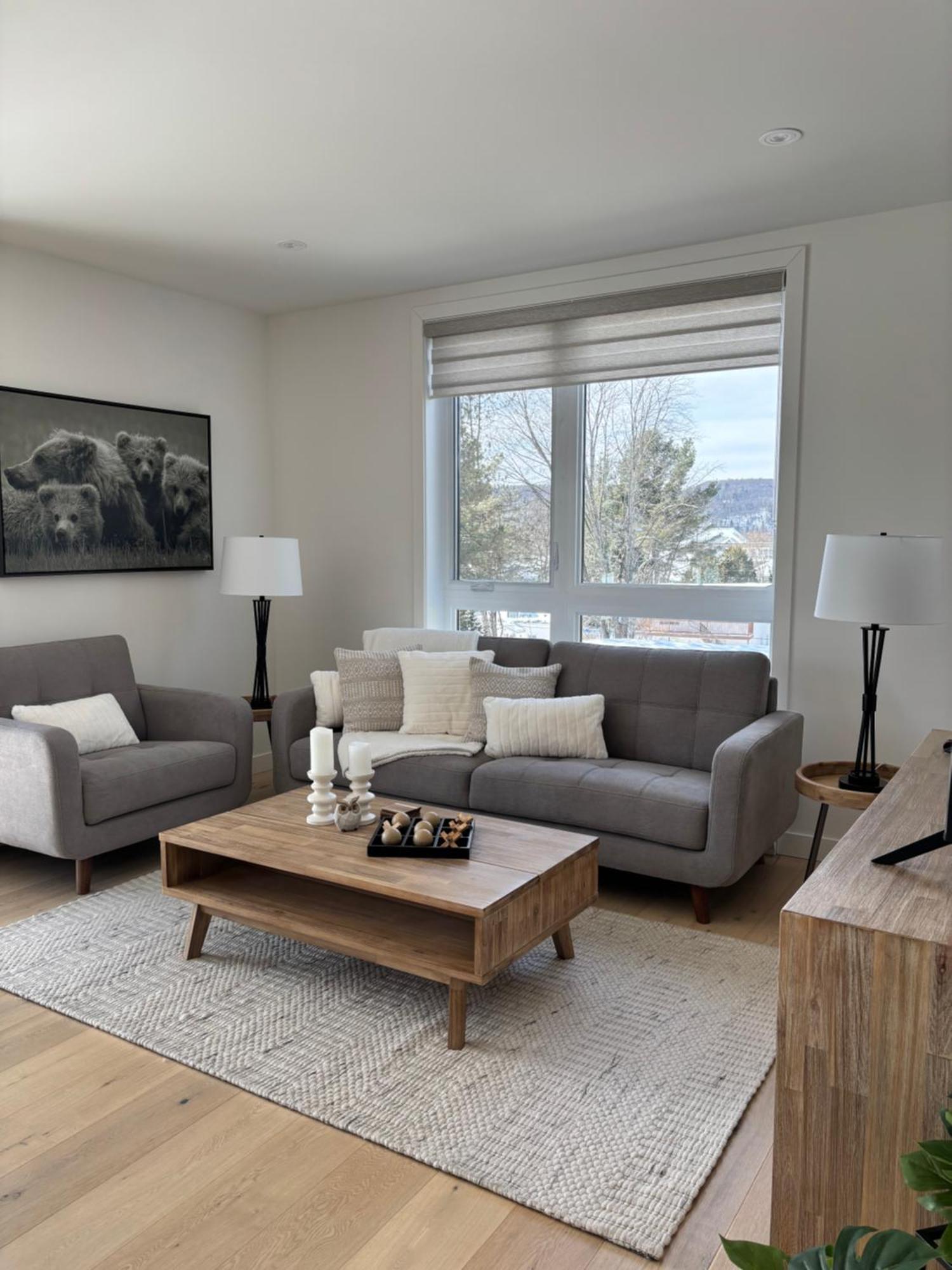 Le 800 De St-jovite Apartment *