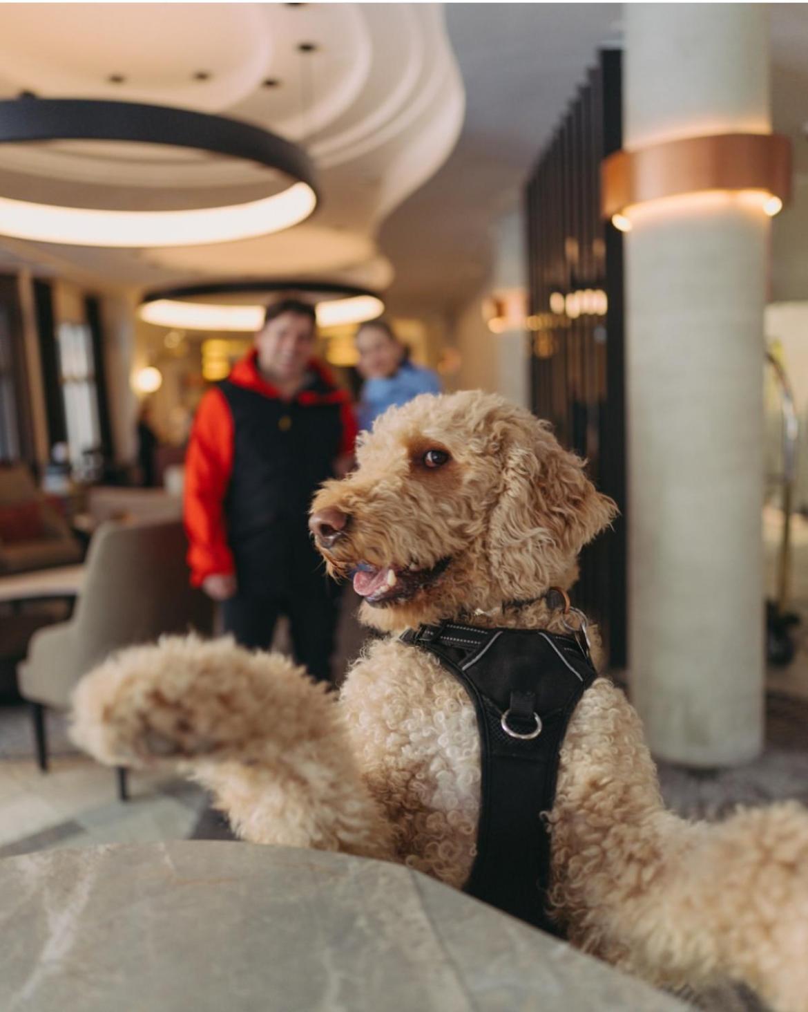 Hotel Le Westin Tremblant