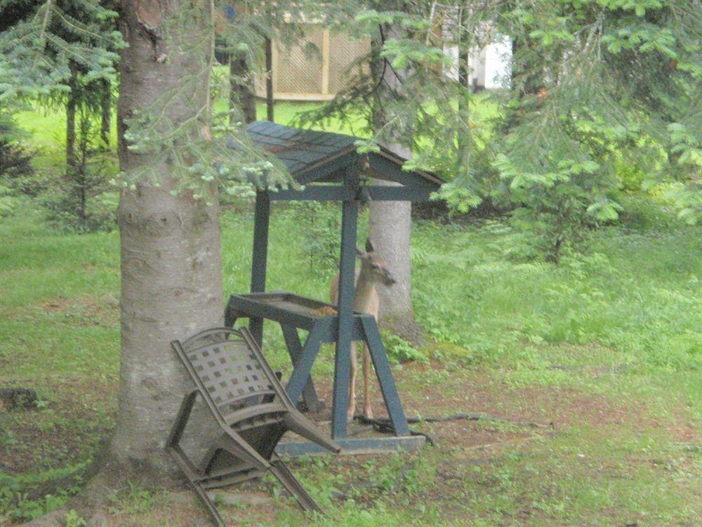 La Tremblante Bed & Breakfast 4*