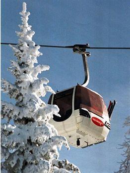 Hotel Les Falaises Ski-in Ski-out 3*