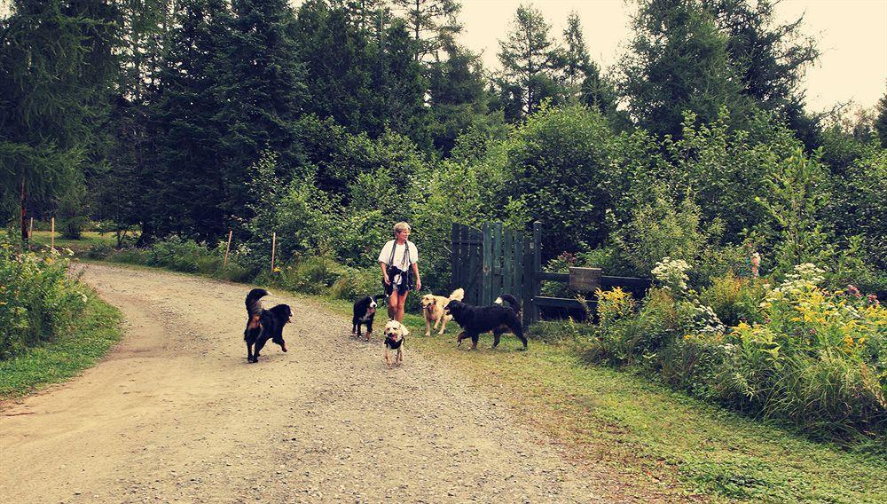 Domaine Summum Chalet Mont-Tremblant