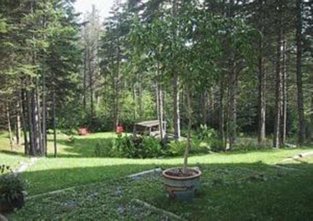 Le Second Souffle Mont-Tremblant