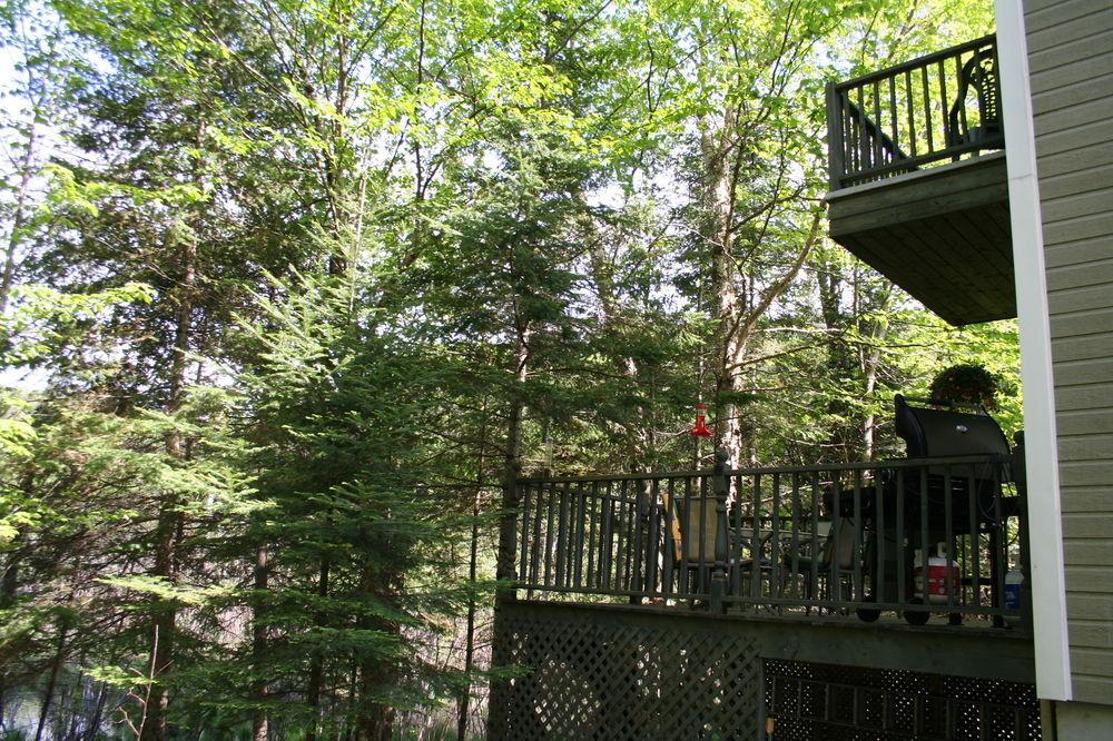 Bed & Breakfast La Chaumiere De L'anse