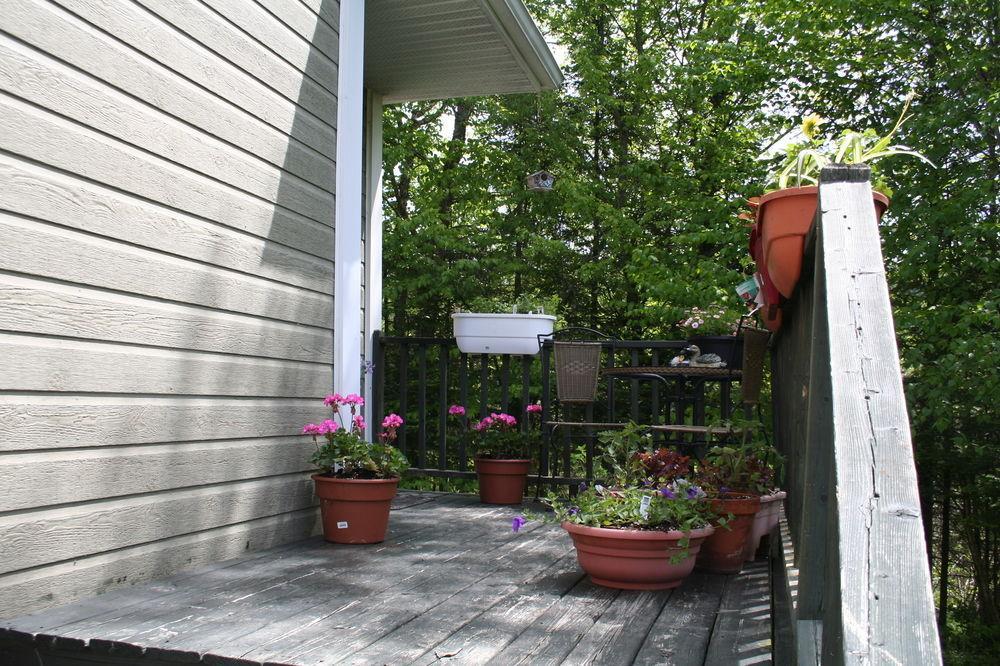 Bed & Breakfast La Chaumiere De L'anse