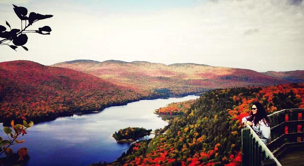 La Chaumiere De L'anse Mont-Tremblant