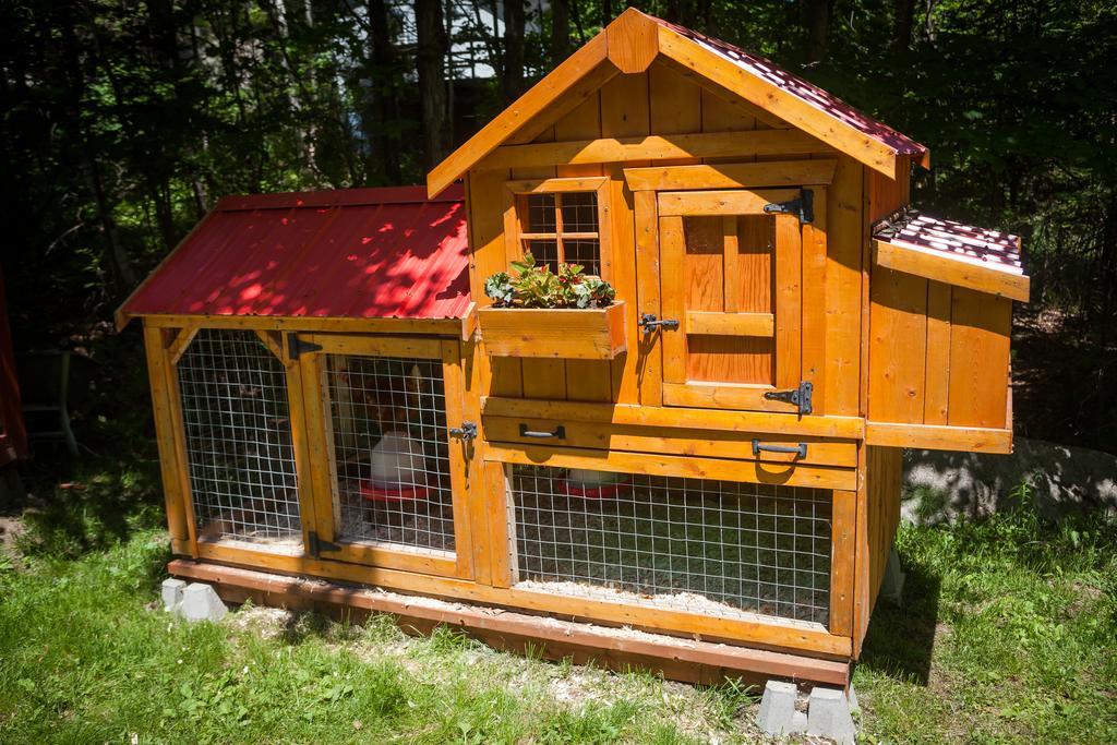 Bed & Breakfast La Chaumiere De L'anse 4*