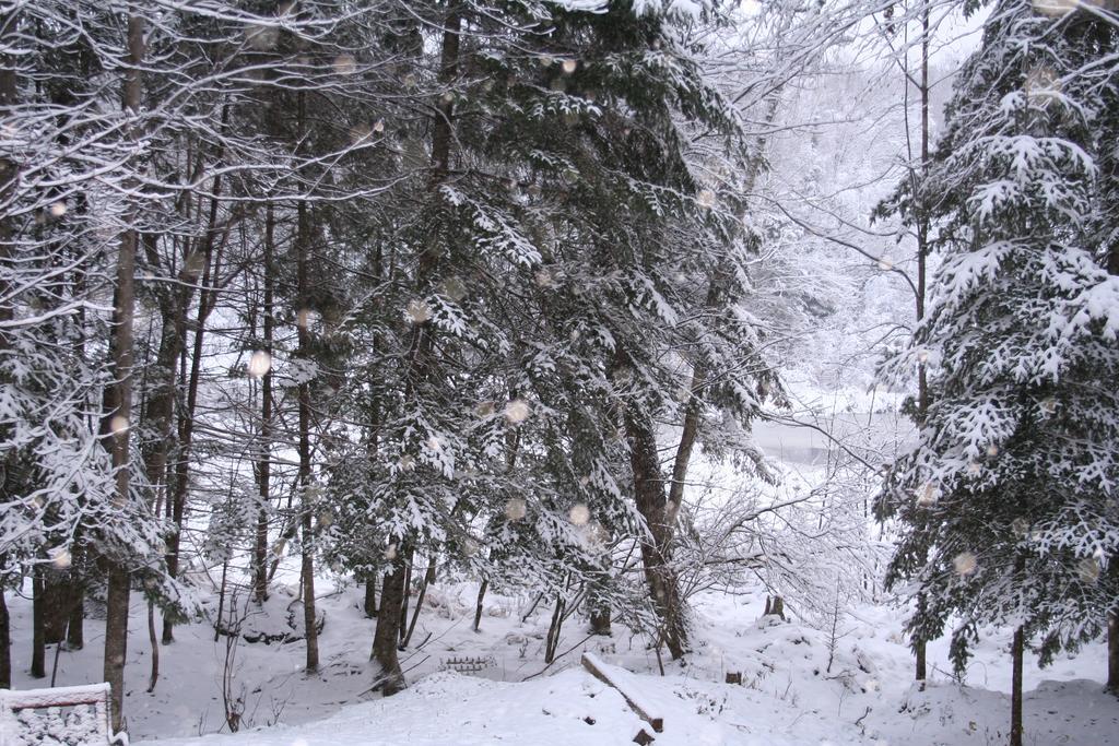 Bed & Breakfast La Chaumiere De L'anse Mont-Tremblant
